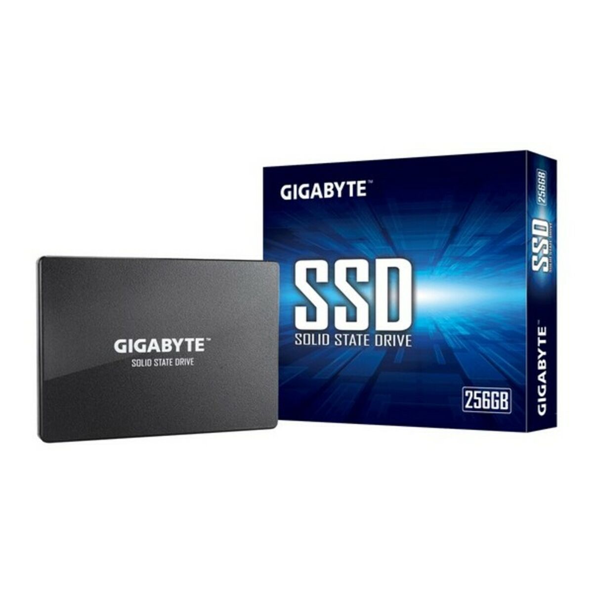 Hard Drive Gigabyte GP-GSTFS31256GTND 256 GB SSD-0