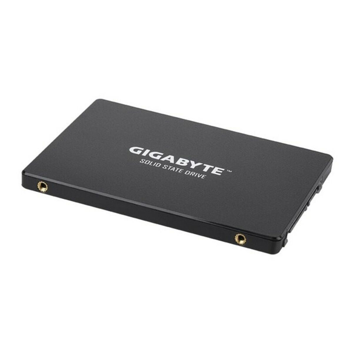 Hard Drive Gigabyte GP-GSTFS31256GTND 256 GB SSD-3
