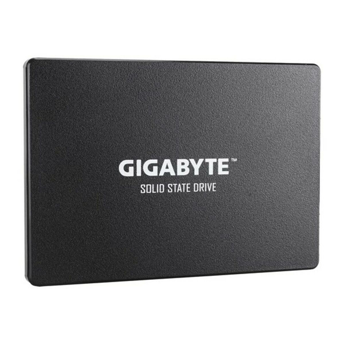 Hard Drive Gigabyte GP-GSTFS31256GTND 256 GB SSD-1