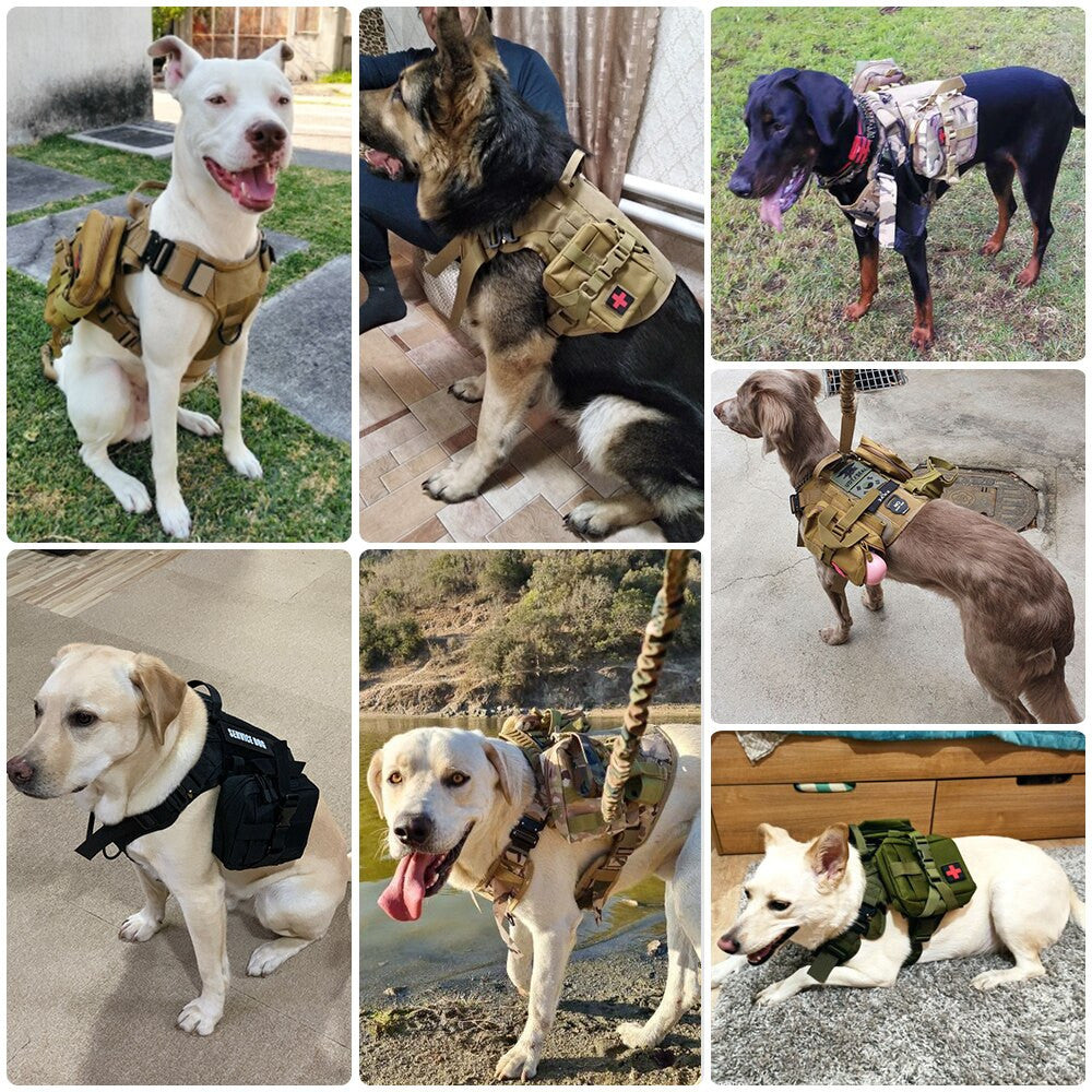 Dog Collar Military Dog Harness And Leash Set-3